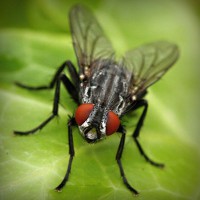 /album/une-histoire-de-gout-les-delices-danthony-/photolia-a01-jpg/