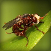 /album/une-histoire-de-gout-les-delices-danthony-/photolia-a06-jpg/